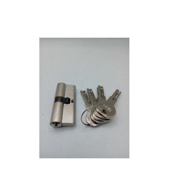 Bombillo Seguridad ISEO R6 35x35 Níquel 5 Llaves | Herrajes HE