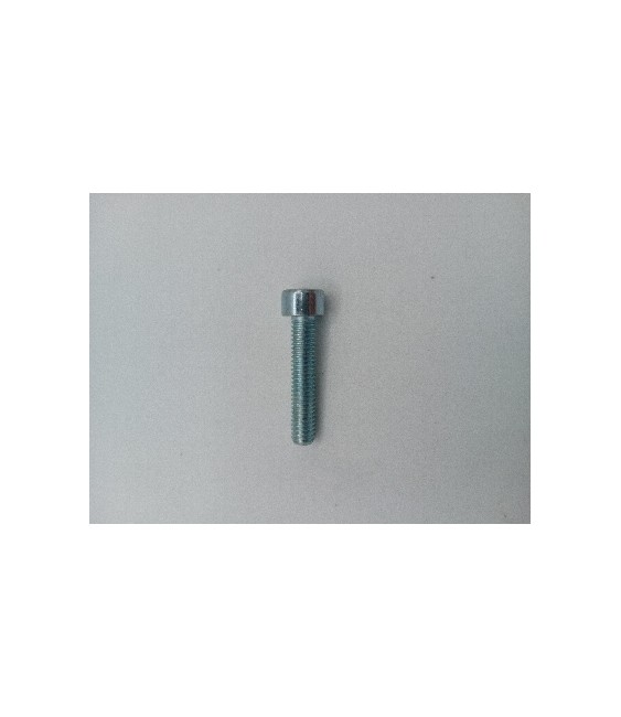 Tornillo Allen 6x30 DIN 912 Zincado 8.8 | Herrajes HE