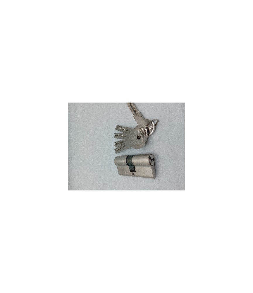 Bombillo ISEO R6 30x30 Níquel L/Corta 5 Llaves | Herrajes HE