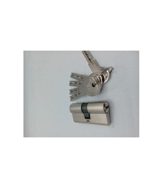 Bombillo ISEO R6 30x30 Níquel L/Corta 5 Llaves | Herrajes HE