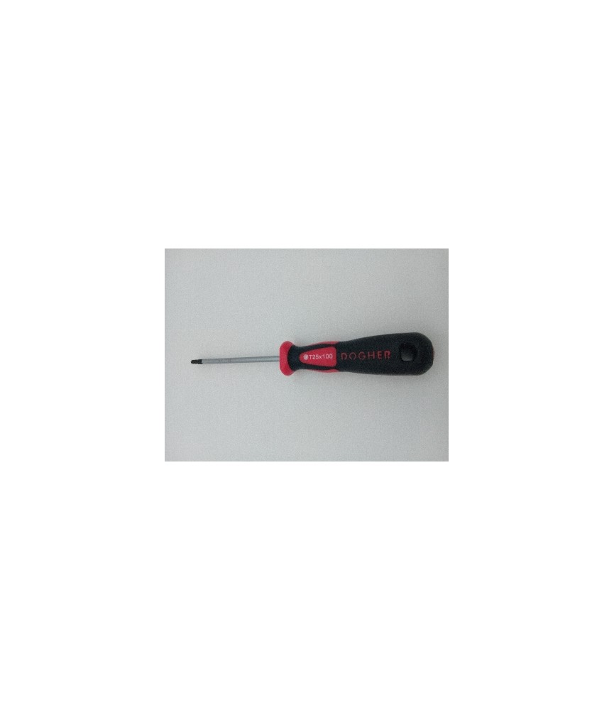 Destornillador Profesional S2 Torx T25x100 | Herrajes HE
