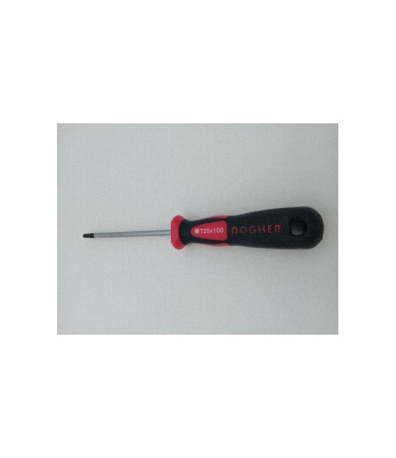 Destornillador Profesional S2 Torx T25x100 | Herrajes HE