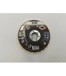 Disco Trapo Pulir Einhell 115mm | Herrajes HE