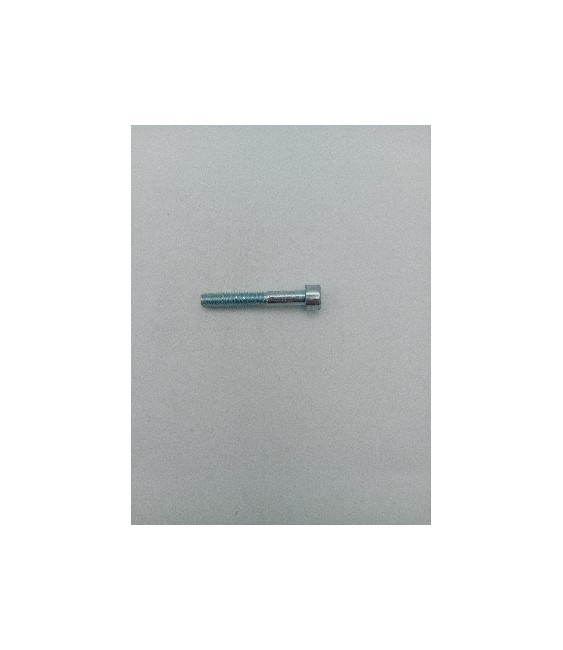 Tornillo Allen 6x45 DIN 912 Zincado 8.8 | Herrajes HE