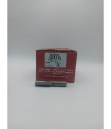 Pernio Gota C/Arandela 10x60 RF.43 para Puertas | Herrajes HE