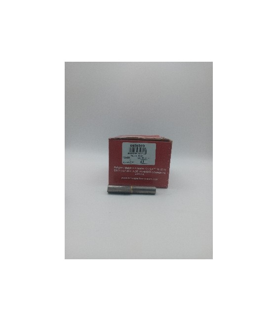 Pernio Gota C/Arandela 10x60 RF.43 para Puertas | Herrajes HE