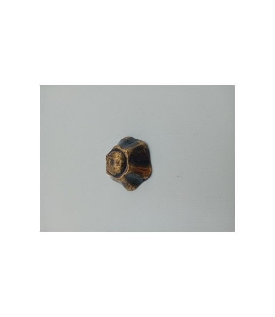 Clavo Decorativo Latón Redondo 40 Ref.1190 | Herrajes HE