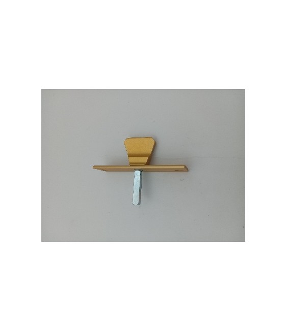 Condenas con Escudo Oro para Baños y Aseos | Herrajes HE