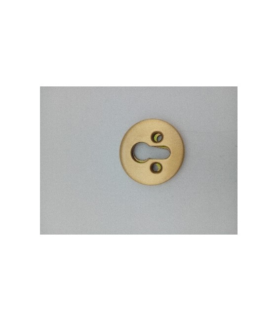 Escudo Seguridad Latón Mate 31-65mm | Herrajes HE