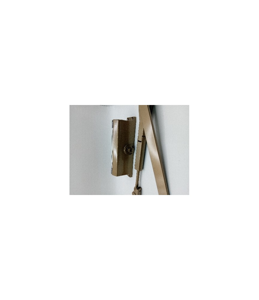 Muelle Justor 13PR Bronce | Herrajes HE