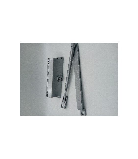 Muelle Justor 12RL Plata Cierre Puerta | Herrajes HE