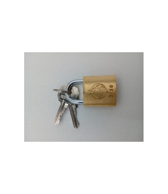 Candado Lince Iberdrola 30030IDCLL | Herrajes HE