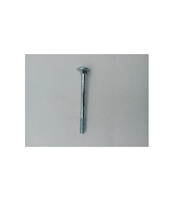 Tornillo Carro 6x30 | Fijación Robusta | Herrajes HE