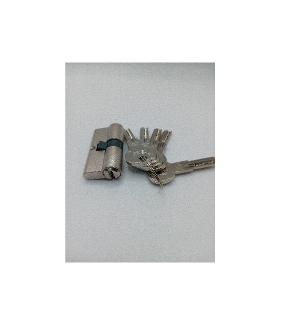 Bombillo ISEO R6 30x30 Níquel 5 Llaves | Herrajes HE