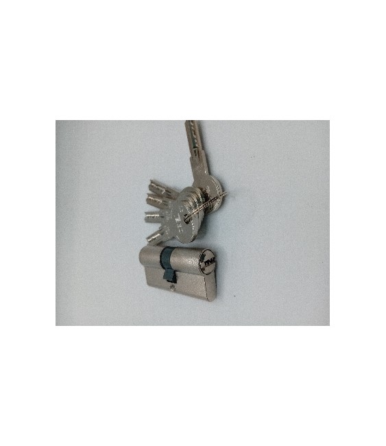 Bombillo ISEO R6 30x30 Níquel Llaves Iguales | Herrajes HE