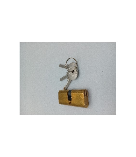 Bombillo ISEO F5 Ovalado 27+27 Latón | Herrajes HE