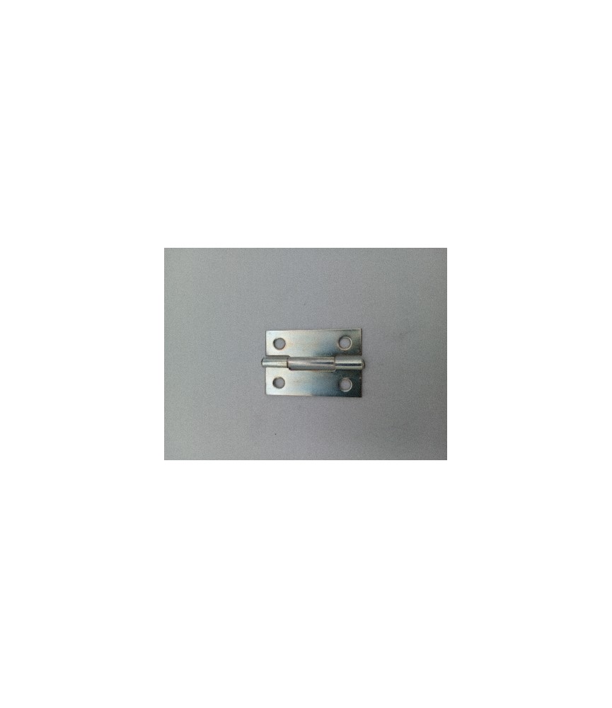 Bisagra Hierro Pulida 5005-3 | Herrajes HE