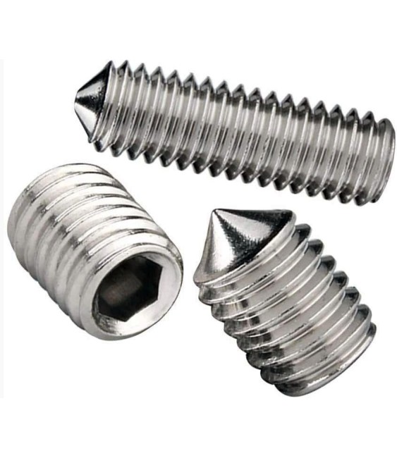 Tornillo Prisionero para Bisagras C/E Inox | Herrajes HE