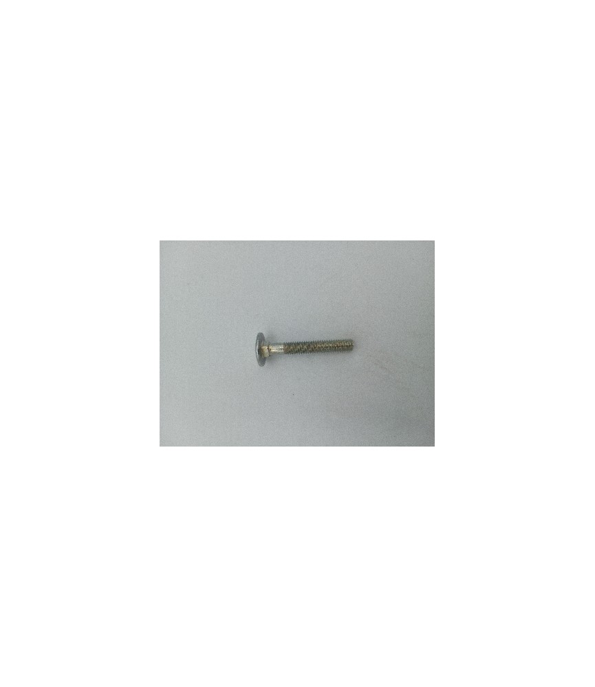 TORNILLO CARRO DIN 603 10X20 INOX A4