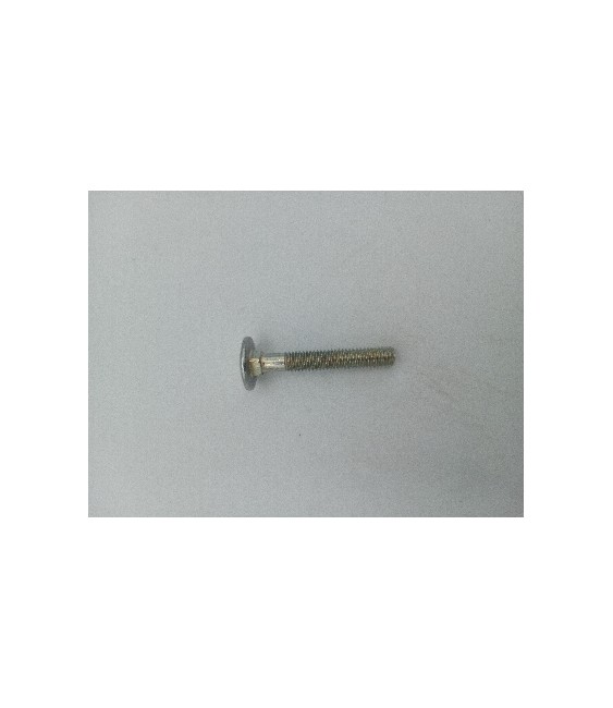TORNILLO CARRO DIN 603 10X20 INOX A4