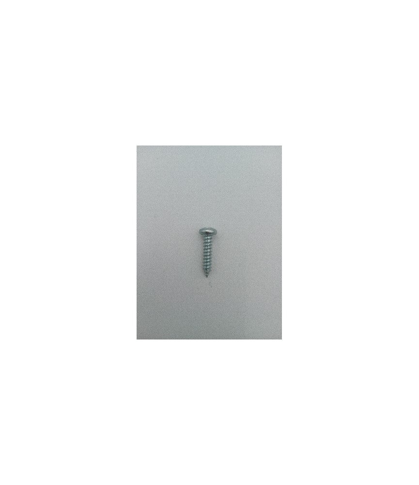 TORNILLO R/CHAPA CAB. ALOMADA DIN 7981 6.3X19